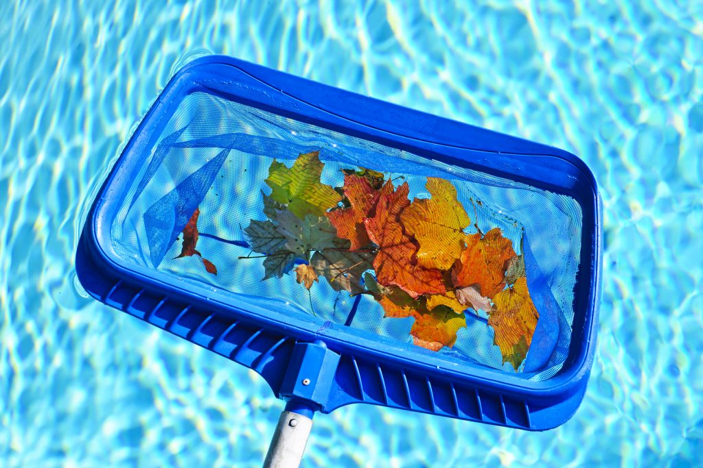 bigstock-Cleaning-swimming-pool-of-fall-62068445-1-1024x683