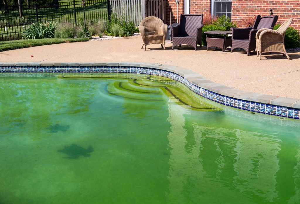 bigstock-filthy-backyard-swimming-pool-45958981-1024x696