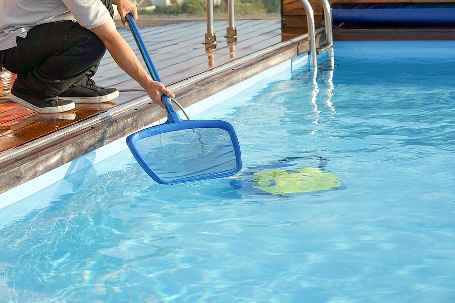 Maintain Your Pool with Skimmer Net