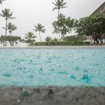 How Your Local Pool Service Can Help With Rainwater
