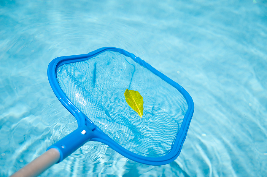 bigstock-pool-skimmer-8210682-1