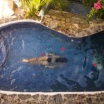 how to convert saltwater pool