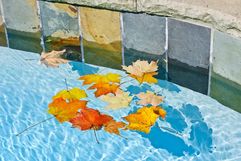 bigstock-fall-leaves-floating-in-pool-39829024-1024x683