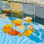 fall pool preparation