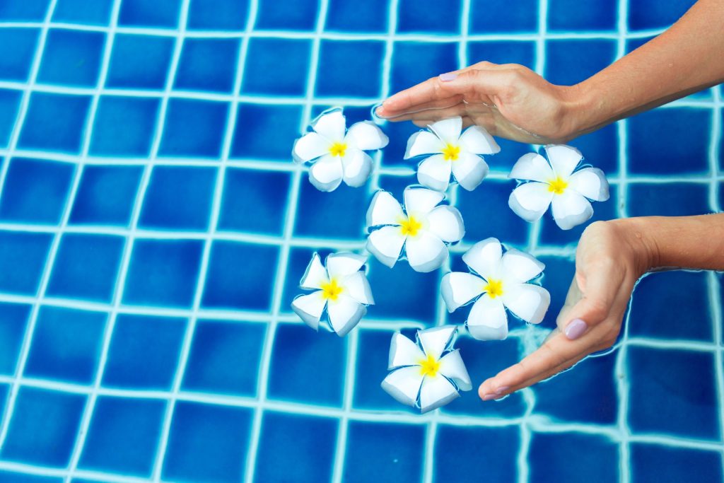 floating-frangipani-flowers-in-the-pool-2025-02-24-15-28-38-utc-scaled-1024x683